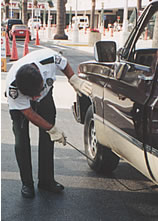 Airport security checking automobiles